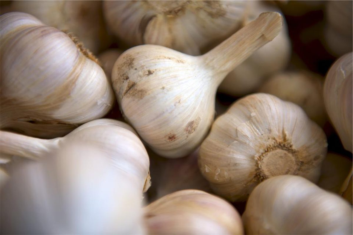 A cluster of whole garlic bulbs, papery skins still on.